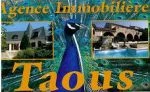Logo Taous immobilier